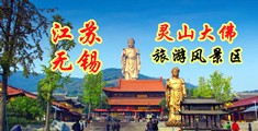 www.操逼网江苏无锡灵山大佛旅游风景区